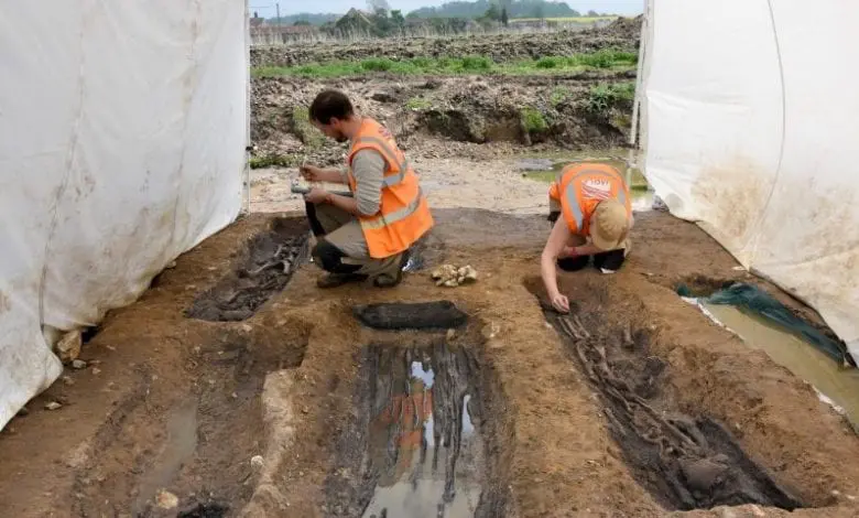 Archaeologists, MOLA, Graves